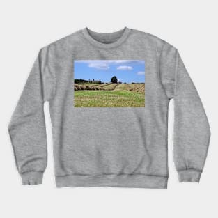 In the Hay Rows Crewneck Sweatshirt